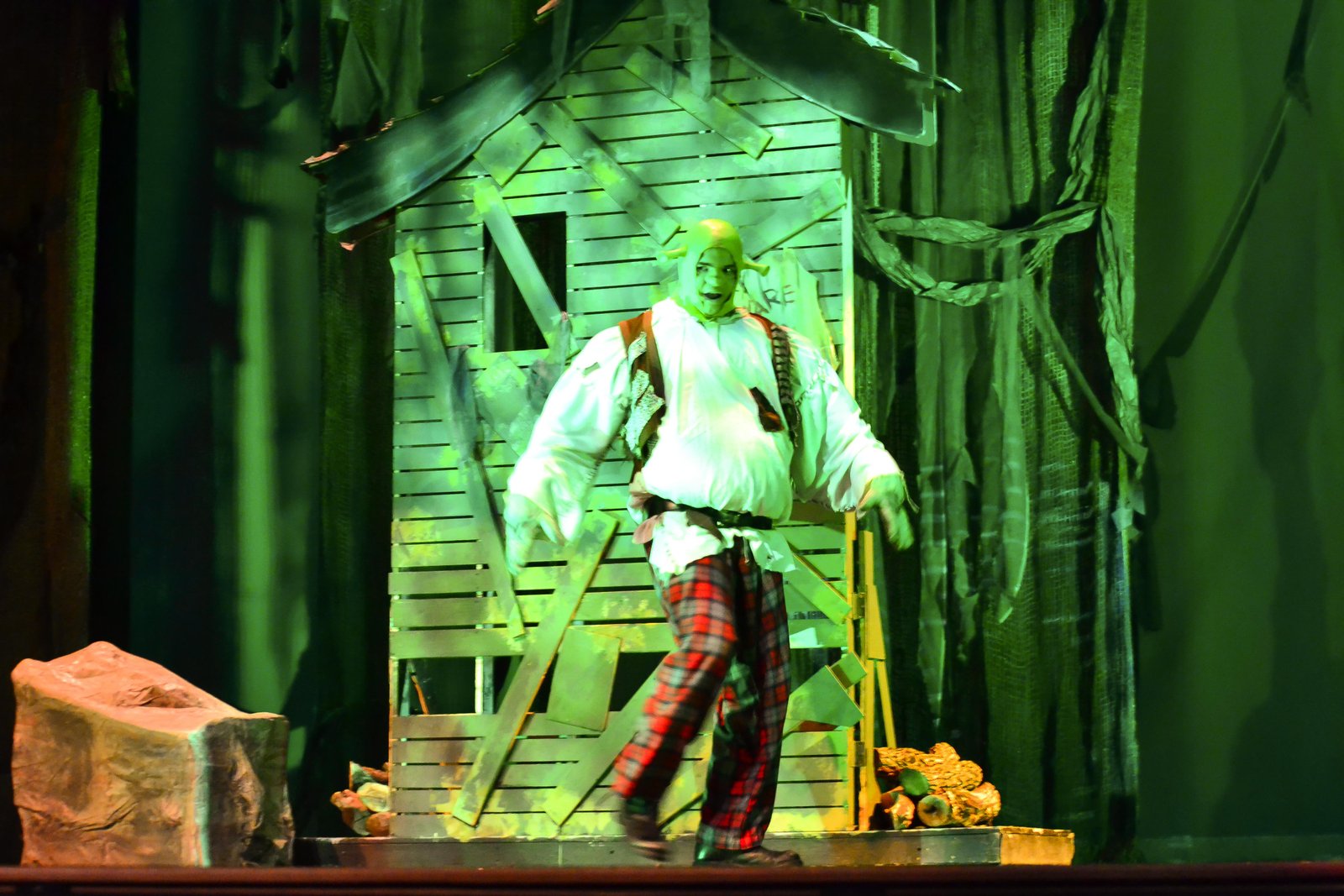 Shrek the Musical Jr. image 2