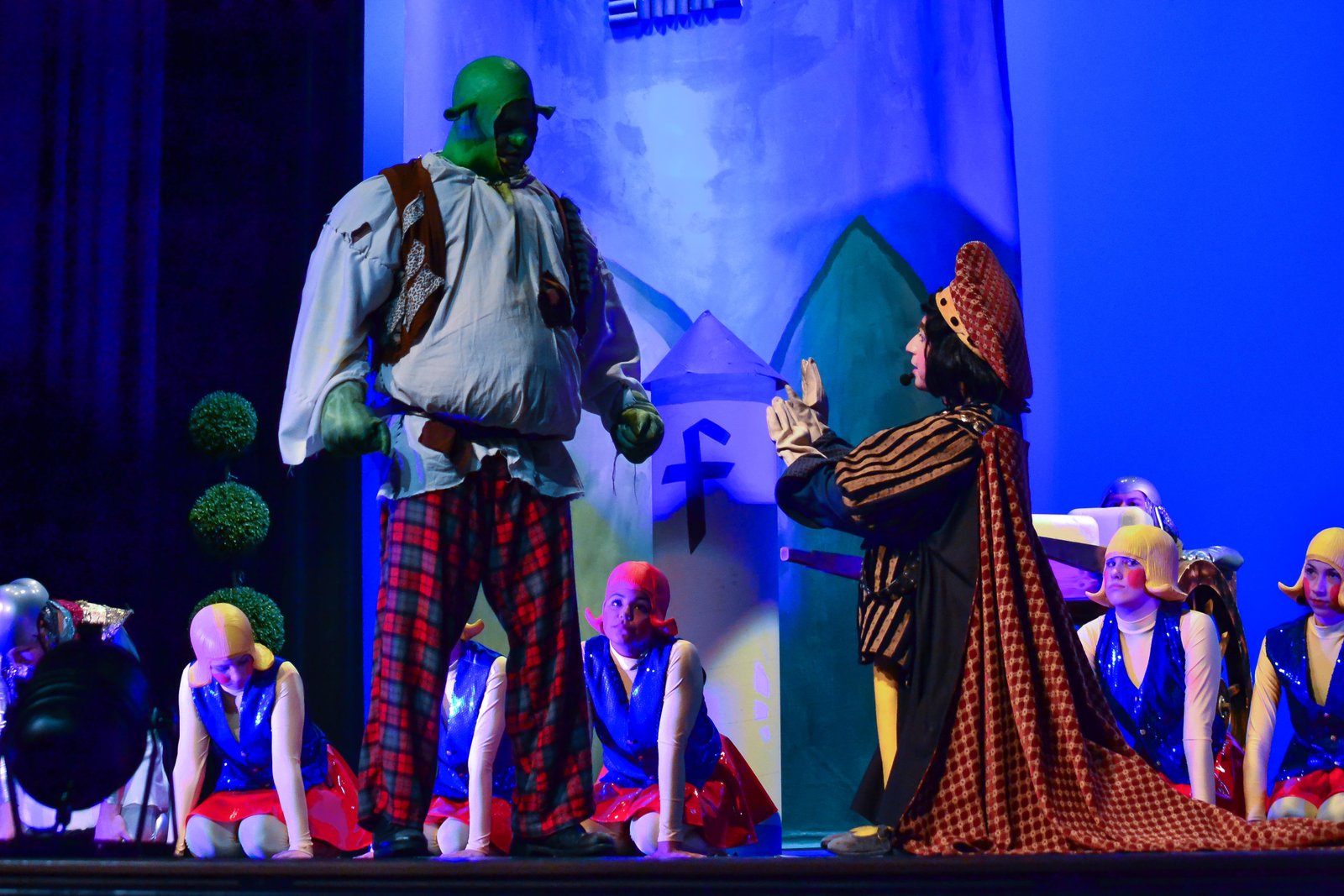 Shrek the Musical Jr. image 12