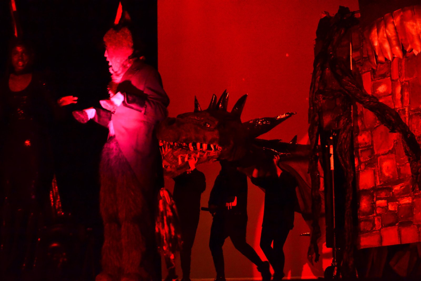 Shrek the Musical Jr. image 16