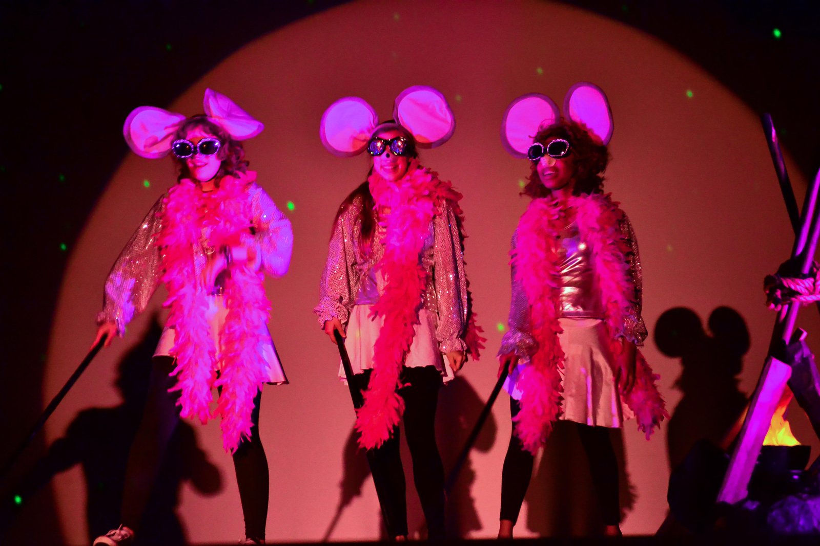 Shrek the Musical Jr. image 19