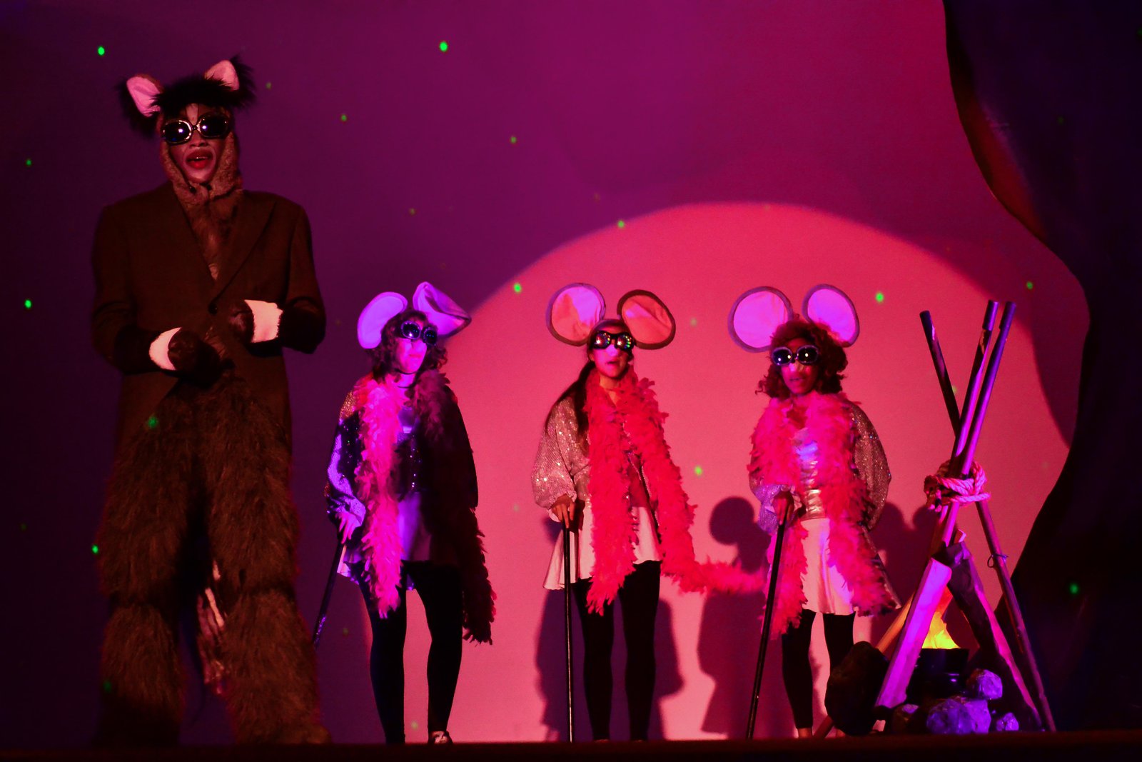Shrek the Musical Jr. image 21