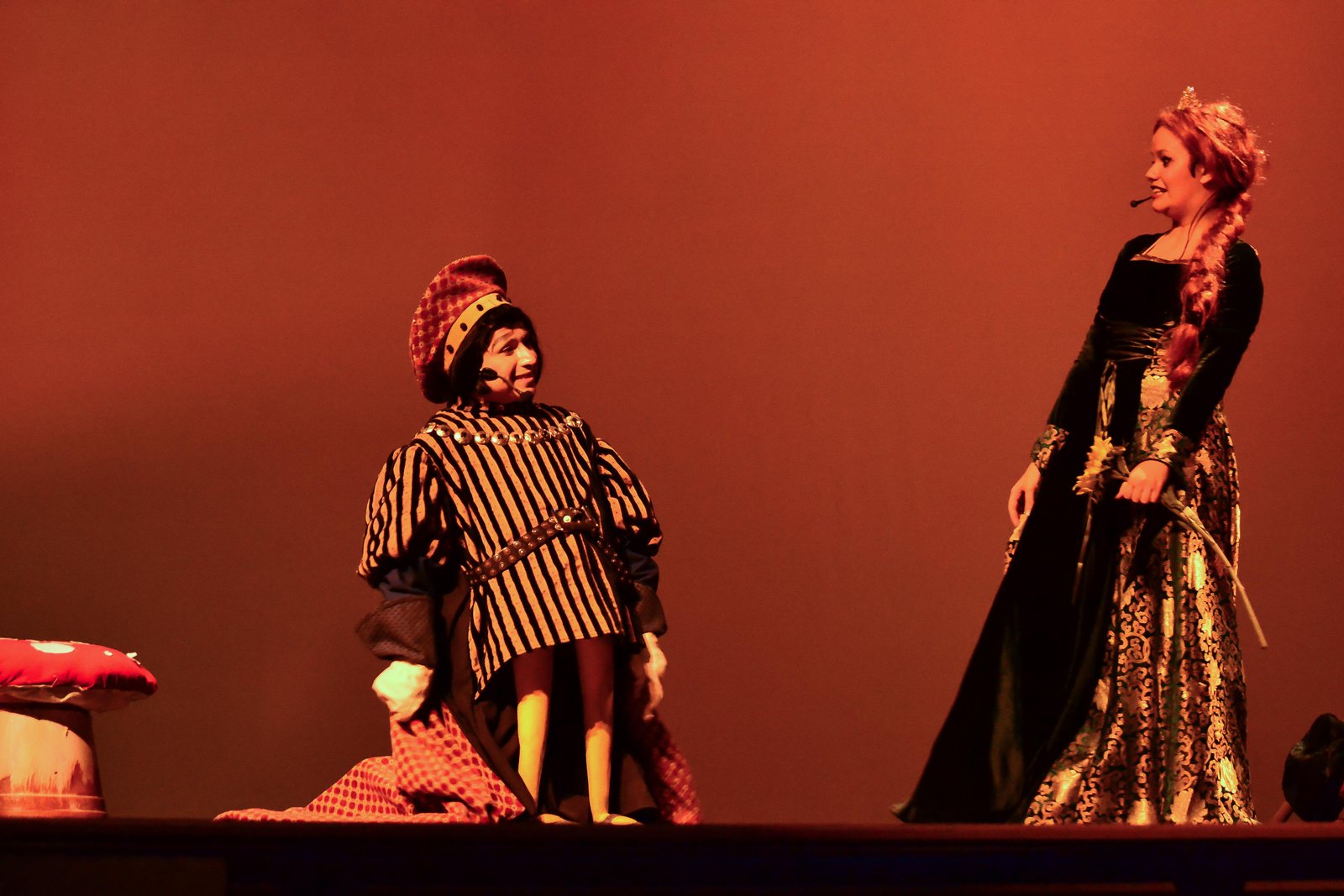 Shrek the Musical Jr. image 22