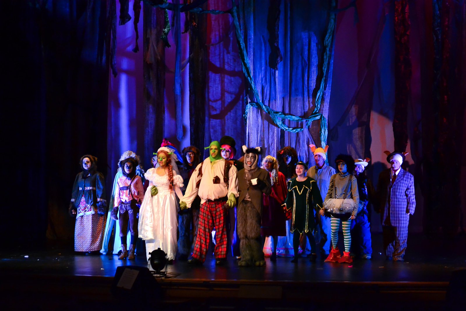 Shrek the Musical Jr. image 30